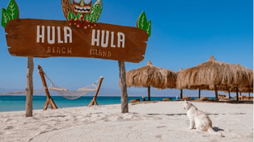 Ausflug zur Hula-Hula-Insel, Hurghada
