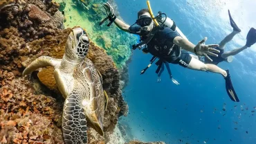 Taucherlebnis in Hurghada | Sicher unter Wasser atmen mit einem Tauchlehrer