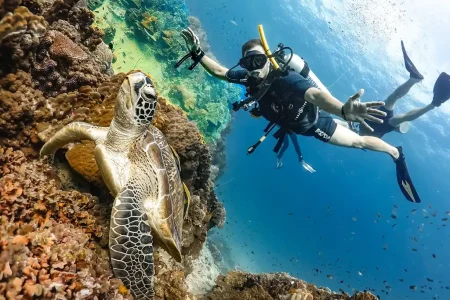 Taucherlebnis in Hurghada | Sicher unter Wasser atmen mit einem Tauchlehrer