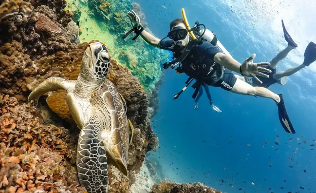 Diving Experience in Hurghada | Breathe Underwater Safely with a Diving Instructor