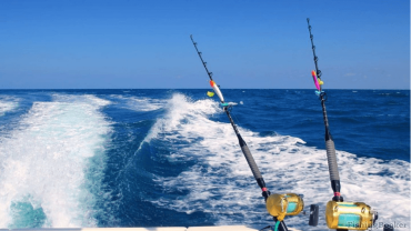 Angeln in Hurghada – Unvergessliche Fishing Tour im Roten Meer mit Kimet Tours