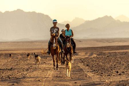 Private Horse Riding Tour in Hurghada – Experience Freedom Between the Sea and the Desert