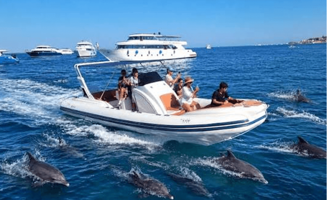 Private Schnellboot-Tour in Hurghada – Die absolute Freiheit, die schönsten Schätze des Roten Meeres zu entdecken