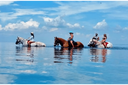 Horse Riding in Hurghada – Experience Freedom Between the Desert and the Red Sea with Kimet Tours