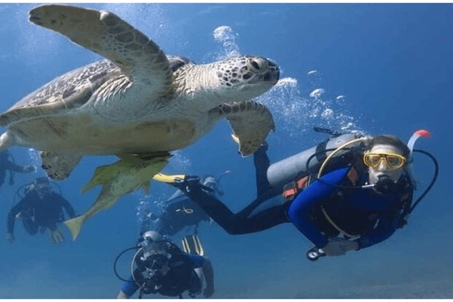 Tauchen in Hurghada – Entdecken Sie die faszinierende Unterwasserwelt des Roten Meeres mit Kimet Tours